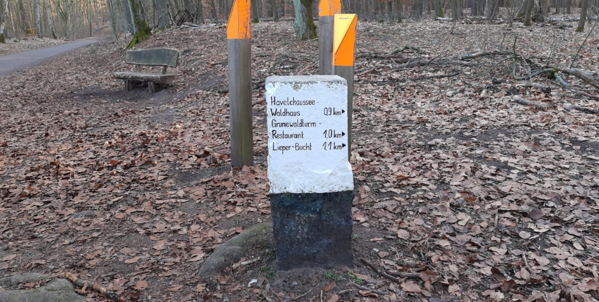 Wegmakierung Wald.Berlin.Klima.