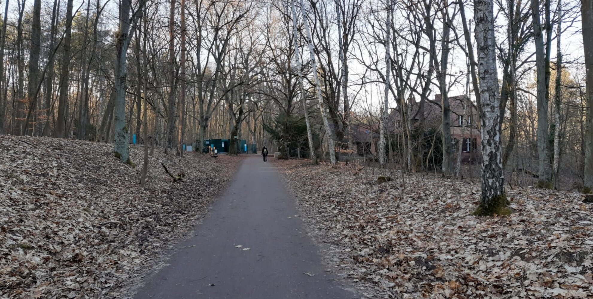 Pfade zu Wald.Berlin.Klima.